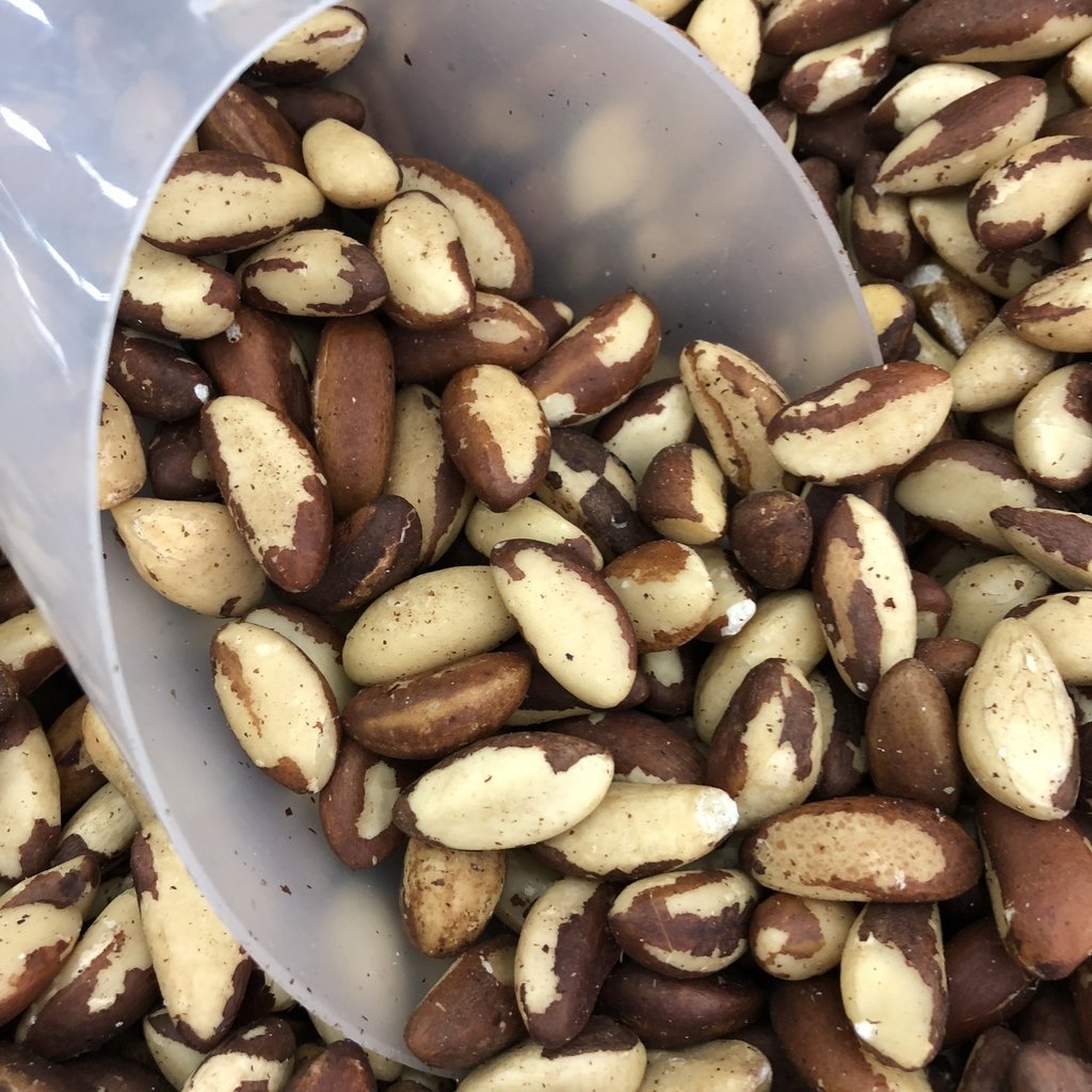 Castanha do Par Mida