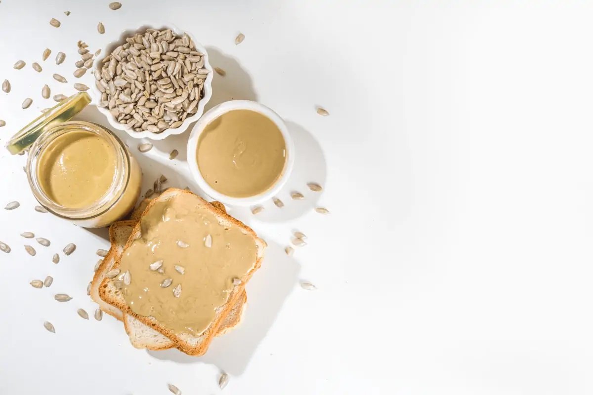 pasta peita de girassol 1